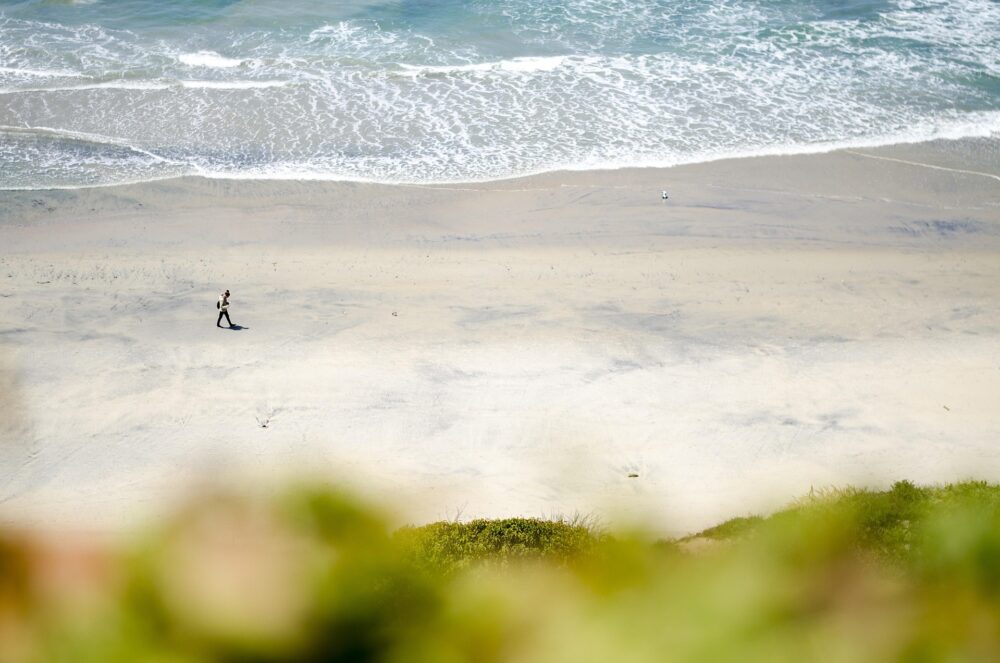 person walking on the beach near the grounds